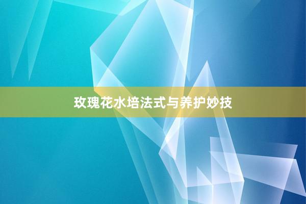 玫瑰花水培法式与养护妙技