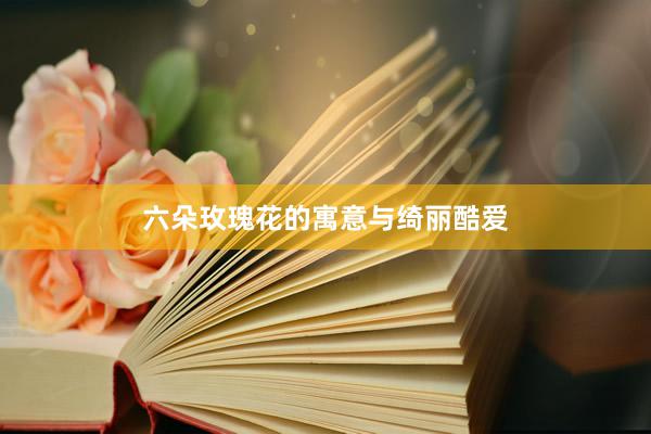 六朵玫瑰花的寓意与绮丽酷爱